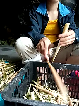 Hayaya11 online show from March 17, 9:45 am