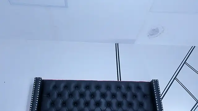 Snapshot of _Cherry_fox chatting on February 4, 12:22 pm Cherry fox online show from February 4, 12:22 pm