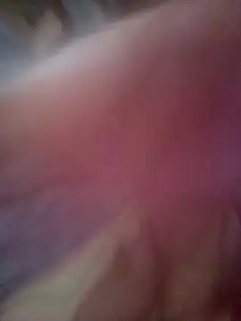 Alka sexy56 online show from March 20, 5:34 am