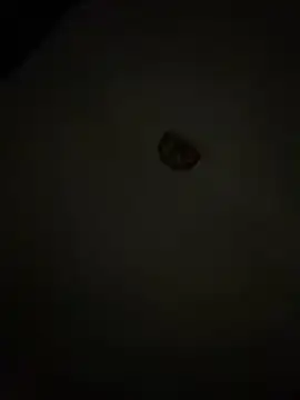 Diamanda12 online show from March 1, 4:36 am