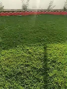 Romantic rakesh 12 online show from February 7, 11:14 am