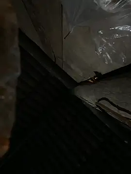 bikhidj online show from April 13, 6:02 pm