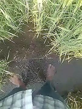 Snapshot of Cute_Boy_4 chatting on February 10, 3:21 am Cute Boy 4 online show from February 10, 3:21 am