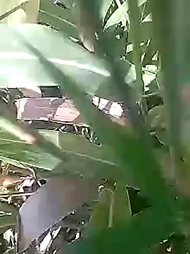 Snapshot of Cute_Boy_4 chatting on March 1, 5:09 am Cute Boy 4 online show from March 1, 5:09 am