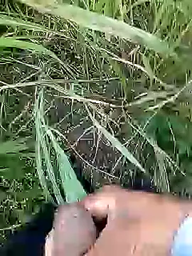 Cute Boy 4 online show from April 11, 2:38 am