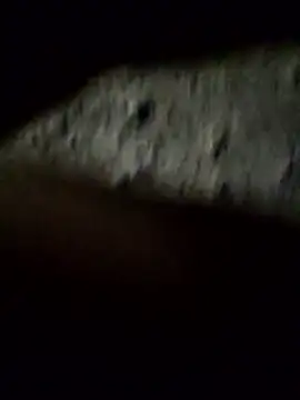 crazyxy12 online show from February 8, 3:48 pm