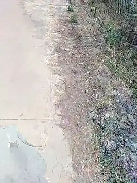 Snapshot of janu_9900 chatting on February 18, 6:09 am janu 9900 online show from February 18, 6:09 am