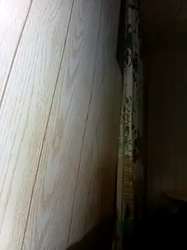 Snapshot of Prikev38452 chatting on February 12, 7:36 am Prikev38452 online show from February 12, 7:36 am