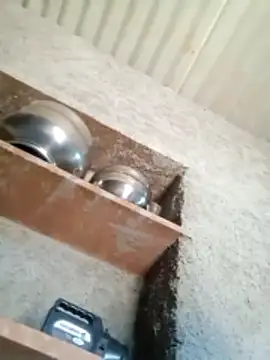 Snapshot of Lucky_couple-1 chatting on February 14, 8:55 am Lucky couple-1 online show from February 14, 8:55 am