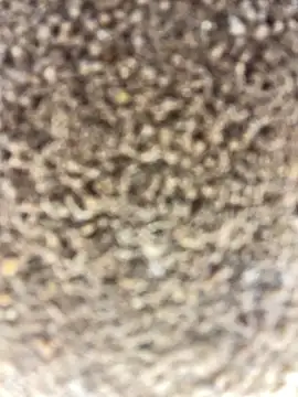 Snapshot of Namipeitudinha chatting on February 16, 4:58 pm Namipeitudinha online show from February 16, 4:58 pm