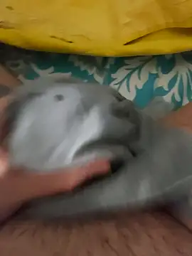 Snapshot of birzevkmeselesi chatting on February 10, 8:57 pm birzevkmeselesi online show from February 10, 8:57 pm