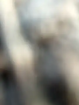 kalai 32 online show from February 3, 1:59 am