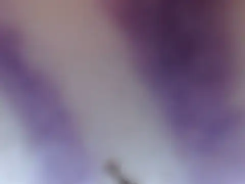 Snapshot of ELIZA_01 chatting on February 8, 4:38 am ELIZA 01 online show from February 8, 4:38 am