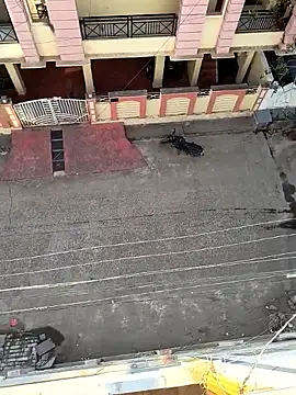 Snapshot of Castrol1289 chatting on February 11, 3:00 am Castrol1289 online show from February 11, 3:00 am