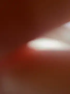 zo-19cm online show from February 27, 1:33 pm