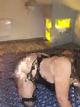 joujou95012 online show from April 15, 7:43 pm