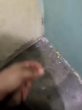 tortolito201 online show from February 8, 2:48 am