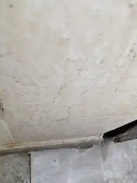 basyo2 online show from April 24, 5:21 am