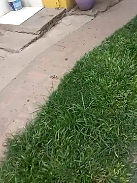 gordorichard online show from February 4, 4:46 pm