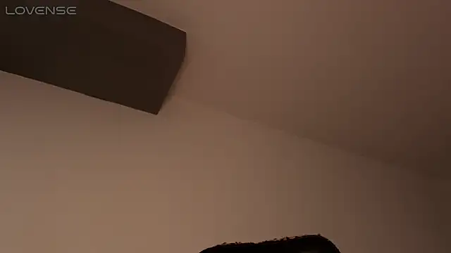 Snapshot of BjornSteel chatting on February 27, 6:13 am BjornSteel online show from February 27, 6:13 am