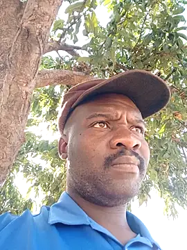 Sbuda3159 online show from February 11, 2:44 pm