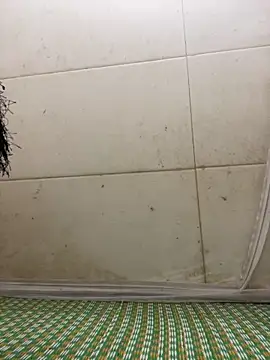 Miu Xinh online show from April 7, 6:19 pm