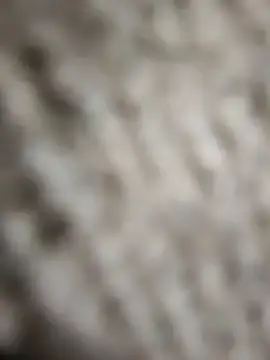 Flexxxo09 online show from February 4, 2:01 pm