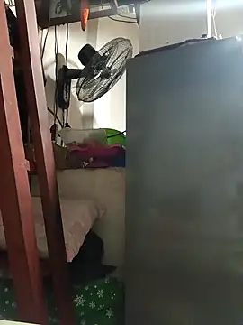 Snapshot of Wildcam21 chatting on February 19, 4:30 am Wildcam21 online show from February 19, 4:30 am