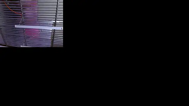 Snapshot of sophi_and_coby chatting on May 2, 5:12 am sophi and coby online show from May 2, 5:12 am