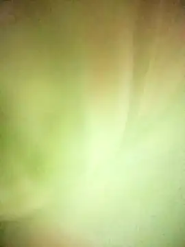 Snapshot of BIG_QWEEN_NO1 chatting on February 20, 6:37 am BIG QWEEN NO1 online show from February 20, 6:37 am