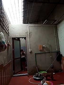 aiai220 online show from May 6, 12:30 am