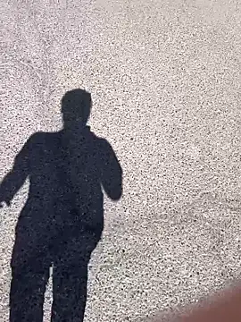 stallone italiano 62 online show from March 17, 11:24 am