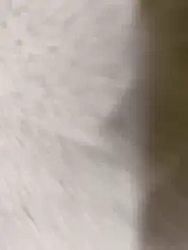 Snapshot of chennai_sexyboy chatting on February 8, 4:32 pm chennai sexyboy online show from February 8, 4:32 pm