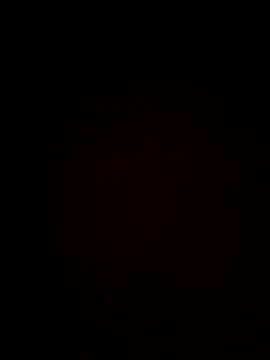 plump-bums online show from February 16, 12:56 pm