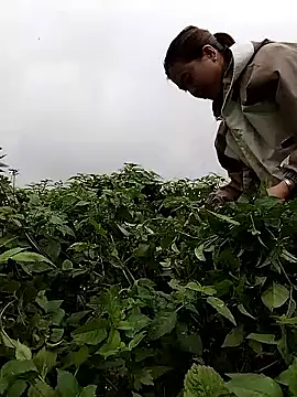 Snapshot of lovely-742 chatting on February 28, 1:50 am lovely-742 online show from February 28, 1:50 am