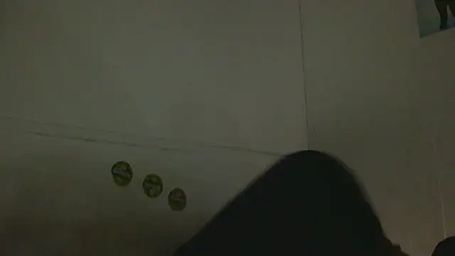 Snapshot of pbilip7787 chatting on February 25, 9:46 pm pbilip7787 online show from February 25, 9:46 pm