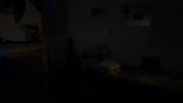 irohsako online show from June 6, 3:44 am