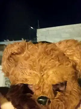 Chondo79 online show from March 27, 7:03 am