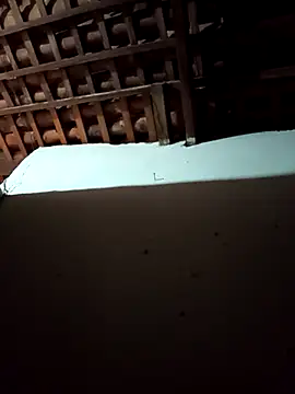 mykasantos20 online show from February 14, 4:53 am