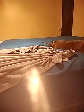 MissBella0969 online show from April 4, 6:00 am