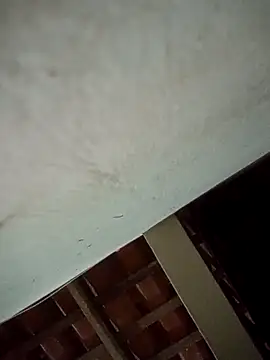 euchapo99 online show from April 4, 5:49 am