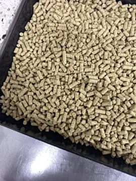 Elmanc online show from February 26, 8:19 pm