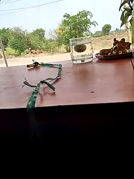 Snapshot of Chandu1245 chatting on April 11, 8:07 am Chandu1245 online show from April 11, 8:07 am