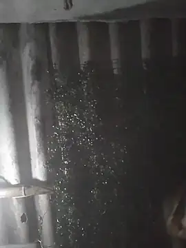 mar coral2 online show from March 28, 4:01 am