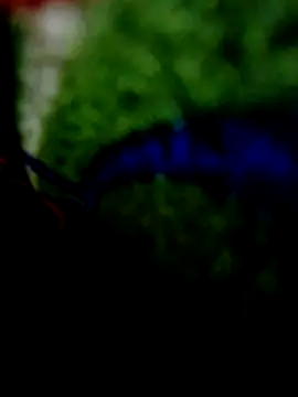 wifedesi7050 online show from April 20, 8:21 pm