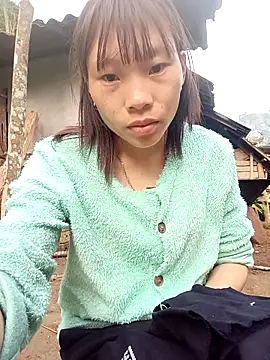 pic8800 online show from March 3, 1:12 am