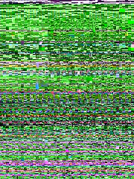 D SnowL online show from July 10, 7:49 pm