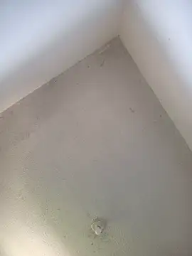 priscilaf online show from April 19, 11:53 am