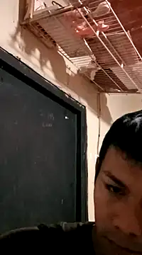 darwinmodell online show from March 8, 3:56 pm