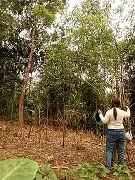 lyly sexx online show from March 28, 1:05 am